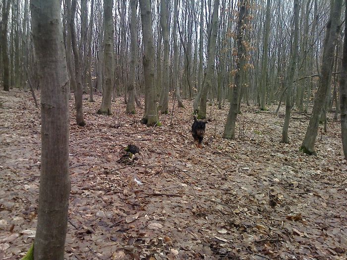 FĂ©nykĂ©p0716[1]