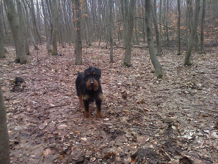 FĂ©nykĂ©p0717[1]