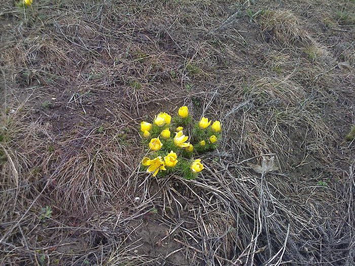 FĂ©nykĂ©p0721[1]