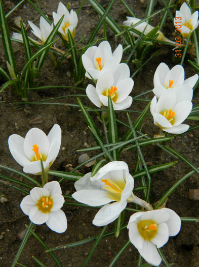 027