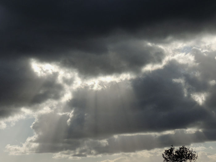 DSCN2748 - NORI SI UN PETIC DE LUMINA