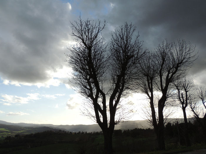 DSCN2786 - NORI SI UN PETIC DE LUMINA