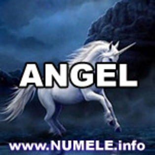  - Angel