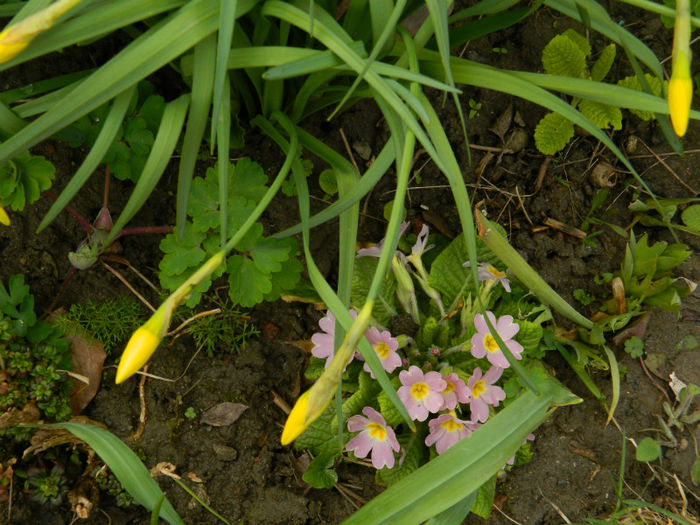 DSCN6319