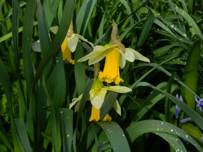 DSCN6333