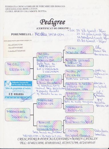 M 031931-08; mascul gut/negru, orig. Popa Marin
Rezultate 2009:
loc 27 viteza tineret-Ilfov
loc 24 viteza palmares tineret
loc 37 demifond tineret
loc 13 AS tineret-Ilfov
