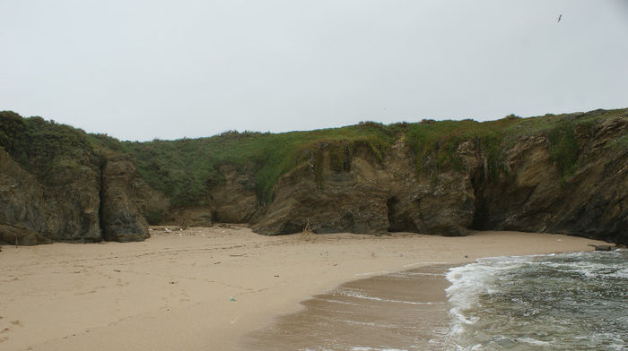 DSC09729