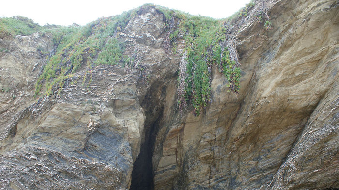DSC09738