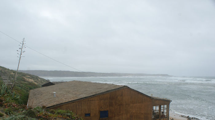 DSC09797