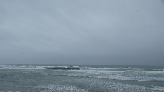 DSC09798