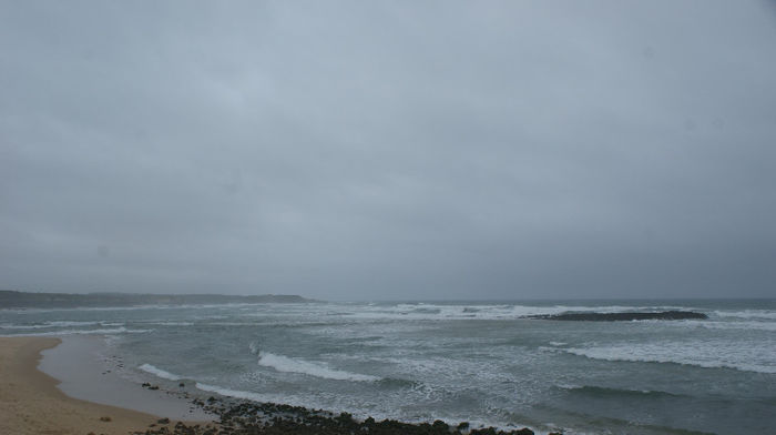DSC09799