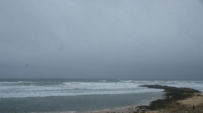 DSC09800
