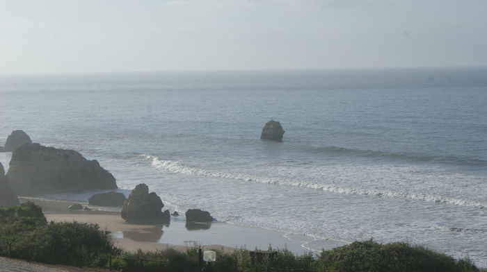 DSC09811