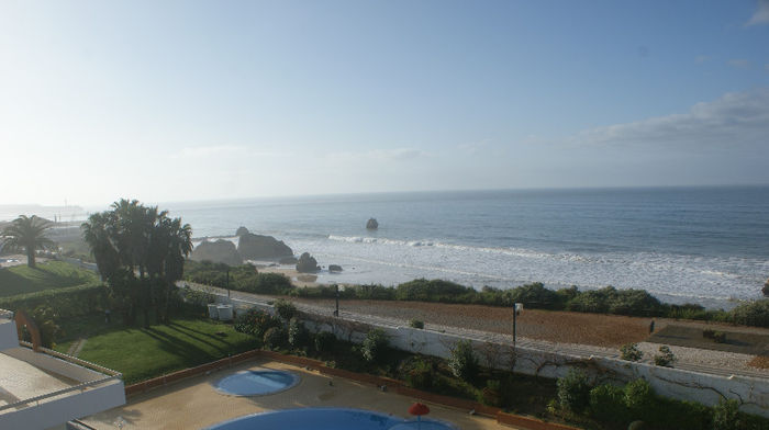 DSC09812