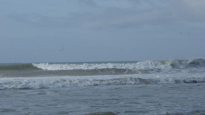 DSC09828