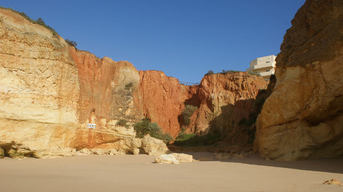 DSC09831
