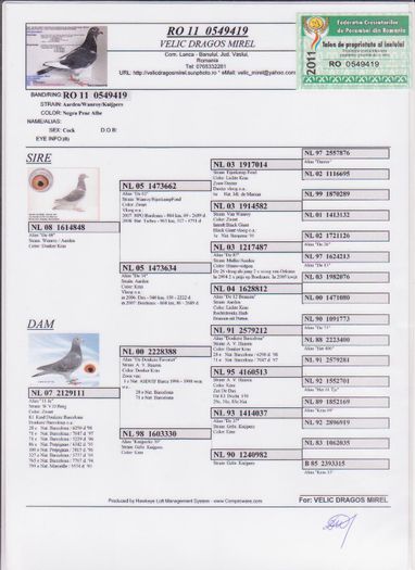 M 2010; origine: Velic Dragos-Mirel
