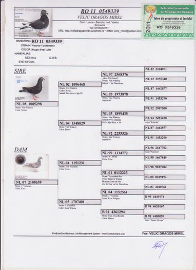 F 2010 - porumbei RO-documente