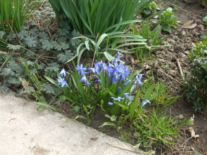 DSCF0207