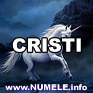 060-CRISTI avatare mess - porumbei voiajori