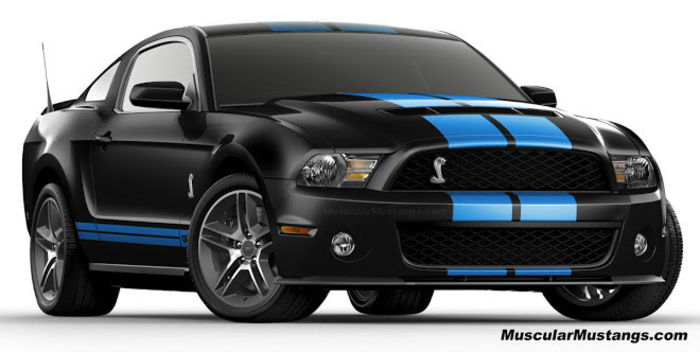 2010_gt500_black_blue - Contact