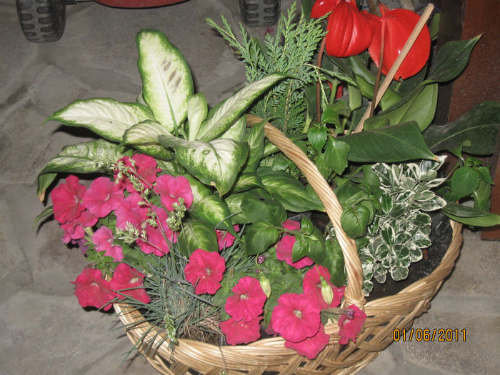 2010-2011 552 - Aranjamente diverse