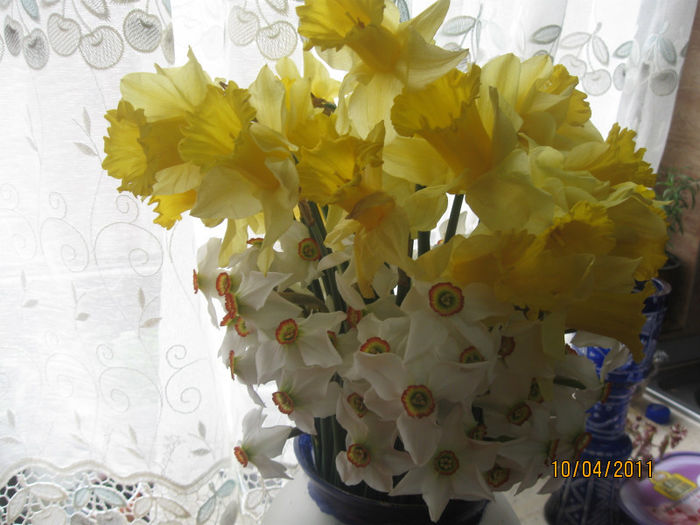 2010-2011 316 - Aranjamente diverse