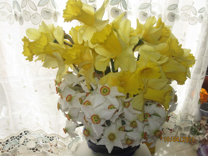 2010-2011 317 - Aranjamente diverse