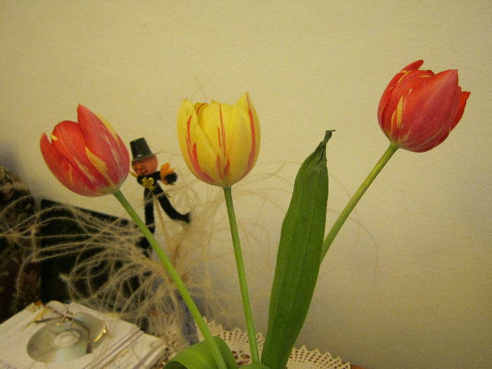 IMG_7174 - FLORI IN GLASTRA