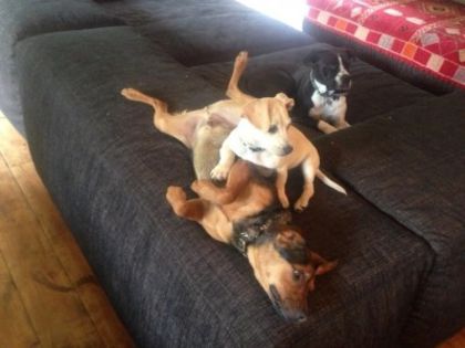 normal_20130319_BFu8VsZCIAAFcji