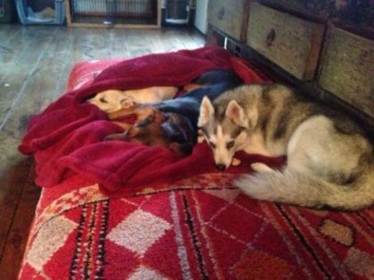 normal_20130321_BF7Rms-CUAAVbIF