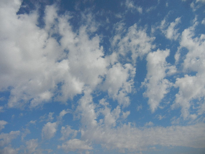 Spring Clouds (2013, April 02) - CLOUDS_Nori