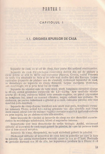 p141 007 - TEHNOLOGIA CRESTERII IEPURILOR DE CASA