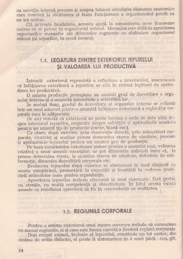 p141 010 - TEHNOLOGIA CRESTERII IEPURILOR DE CASA