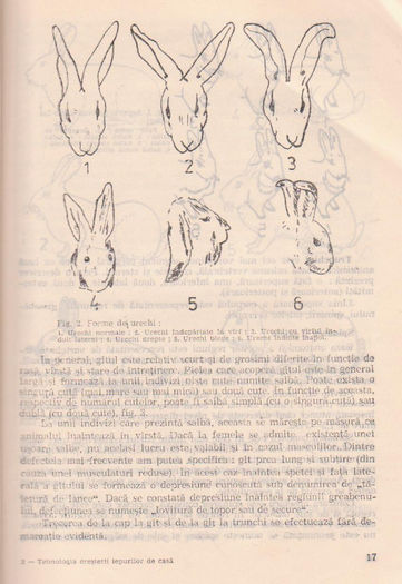 p141 013