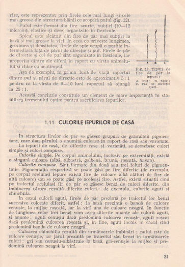 p141 027