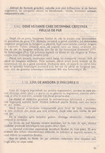 p141 031