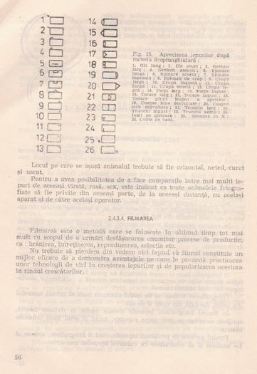 p141 052