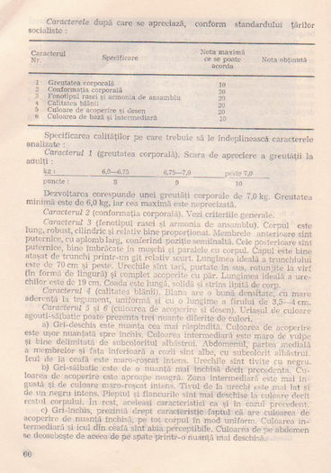 p141 056