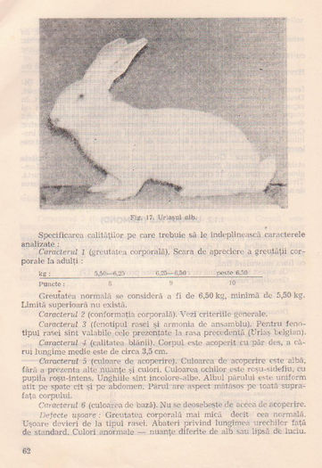 p141 058