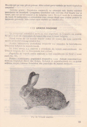 p141 059