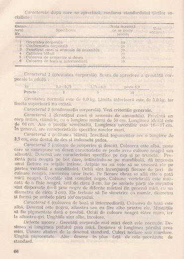 p141 062