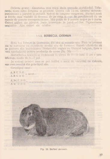 p141 063