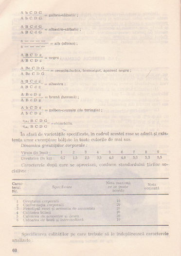 p141 064
