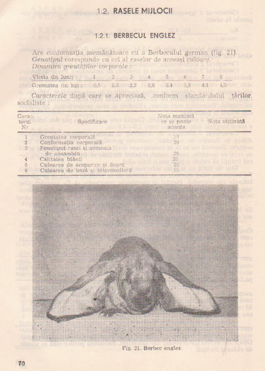 p141 066