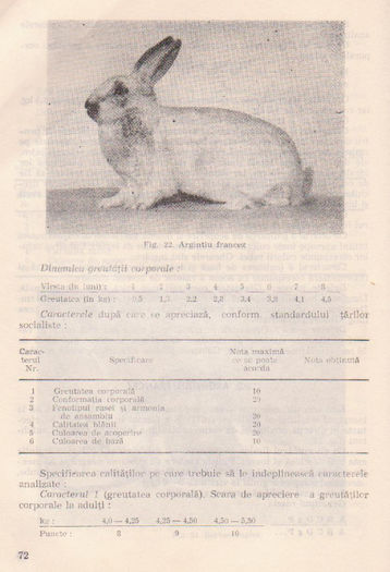 p141 068