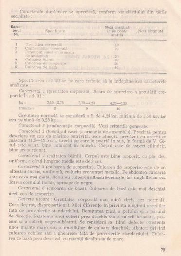 p141 075