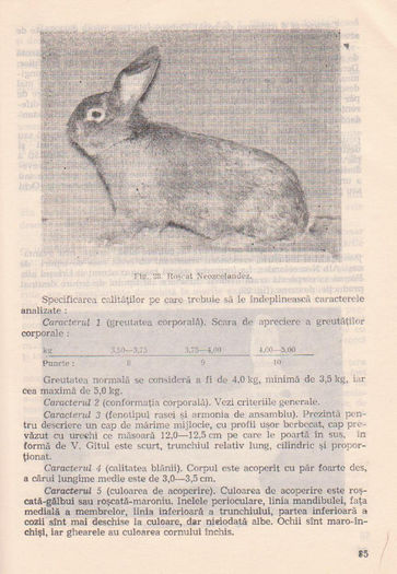 p141 081