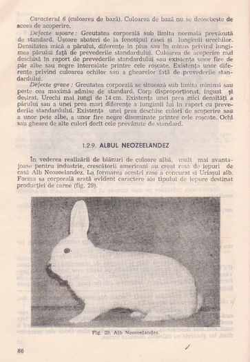 p141 082