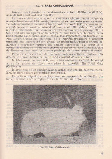 p141 085